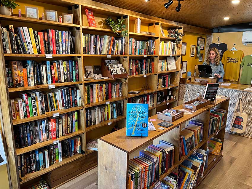 Lioness Books