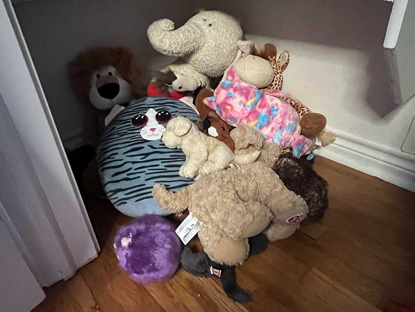 Mountain of stuffed animals