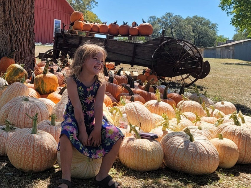 Round Rock Pumpkin Festival